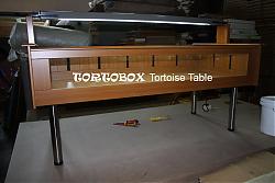 Click image for larger version

Name:	tortoise_table.jpg
Views:	230
Size:	98.0 KB
ID:	11956