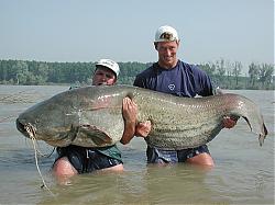Click image for larger version

Name:	IKAN.jpg
Views:	162
Size:	64.8 KB
ID:	7899