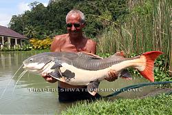 Click image for larger version

Name:	amzon redtail catfish_b.jpg
Views:	139
Size:	125.5 KB
ID:	27119