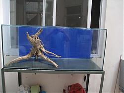 Click image for larger version

Name:	aquascape.jpg
Views:	199
Size:	139.3 KB
ID:	22006