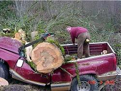Click image for larger version

Name:	aw-crap-tree-truck-thumb.jpg
Views:	249
Size:	99.3 KB
ID:	20933