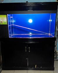 Click image for larger version

Name:	Aquarium1.jpg
Views:	451
Size:	215.4 KB
ID:	28232