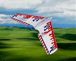 Click image for larger version

Name:	flyingwing.jpg
Views:	219
Size:	93.9 KB
ID:	9746