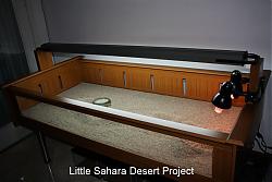 Click image for larger version

Name:	little_sahara2.jpg
Views:	217
Size:	102.6 KB
ID:	12029