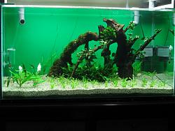 Click image for larger version

Name:	Rescape 008.jpg
Views:	191
Size:	266.4 KB
ID:	19475