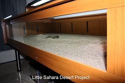 Click image for larger version

Name:	little_sahara4.jpg
Views:	218
Size:	105.4 KB
ID:	12031