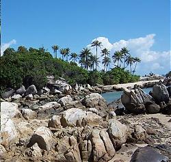 Click image for larger version

Name:	PARAI 3.JPG
Views:	185
Size:	37.3 KB
ID:	7073