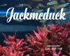 jackmcduck's Avatar