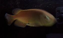 Click image for larger version

Name:	7.JPG
Views:	54
Size:	145.1 KB
ID:	11020