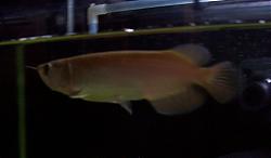 Click image for larger version

Name:	8.JPG
Views:	48
Size:	139.4 KB
ID:	11021