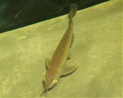 Click image for larger version

Name:	17.JPG
Views:	55
Size:	259.4 KB
ID:	11031