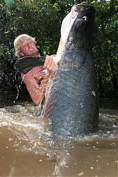 Click image for larger version

Name:	arapaima gigas2.jpg
Views:	109
Size:	97.8 KB
ID:	12087