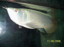 Click image for larger version

Name:	100_4881u.JPG
Views:	39
Size:	93.3 KB
ID:	12365