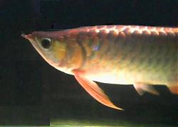 Click image for larger version

Name:	edit1.jpg
Views:	82
Size:	16.5 KB
ID:	25299