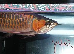 Click image for larger version

Name:	PC230096.JPG
Views:	47
Size:	148.1 KB
ID:	4806