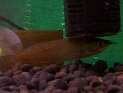 Click image for larger version

Name:	15012008423.jpg
Views:	71
Size:	103.5 KB
ID:	9992